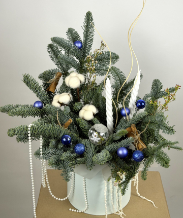 Новогодняя композиция из нобилиса и хамелациума