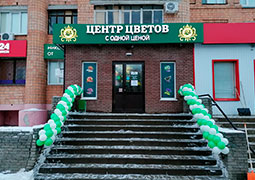 Дзержинск, ул. Чапаева, 24