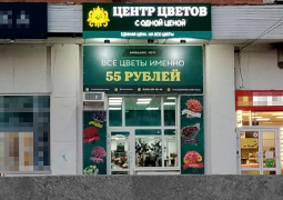 ул. Плотникова, 3