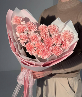 Букет из гвоздик и писташа - 19 шт