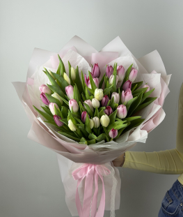 Букет из тюльпанов - 35 шт