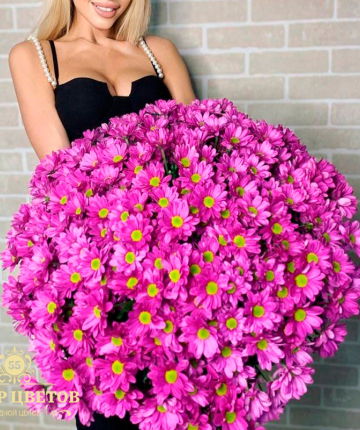 Букет из 35 розовых хризантем