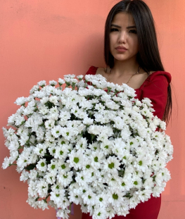 Букет из 25 белых кустовых хризантем