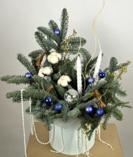 Новогодняя композиция из нобилиса и хамелациума