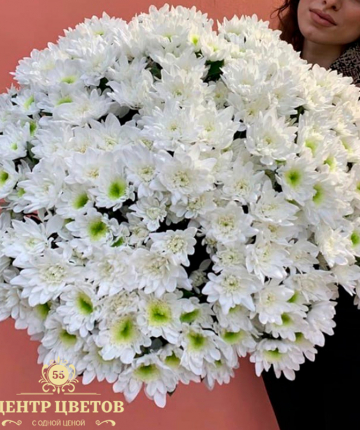 Букет из 35 белоснежных кустовых хризантем