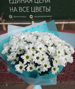 Букет из 17 ромашковых хризантем