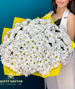 Букет из 35 белых кустовых хризантем