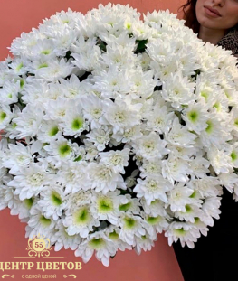 Букет из 35 белоснежных кустовых хризантем