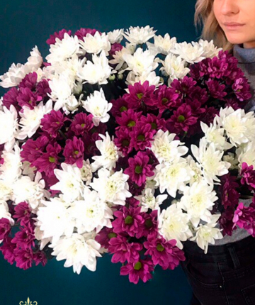 Букет из белых и сиреневых кустовых хризантем - 19 шт.