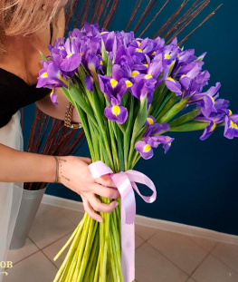 Букет из 31 ириса
