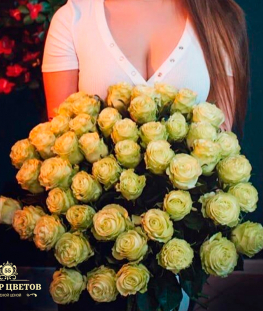 Букет из 51 кремовой эквадорской розы